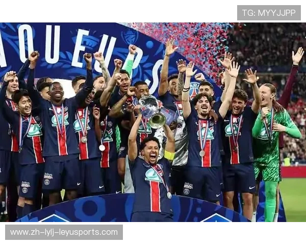 意甲球队债务危机与财政赤字案例研究