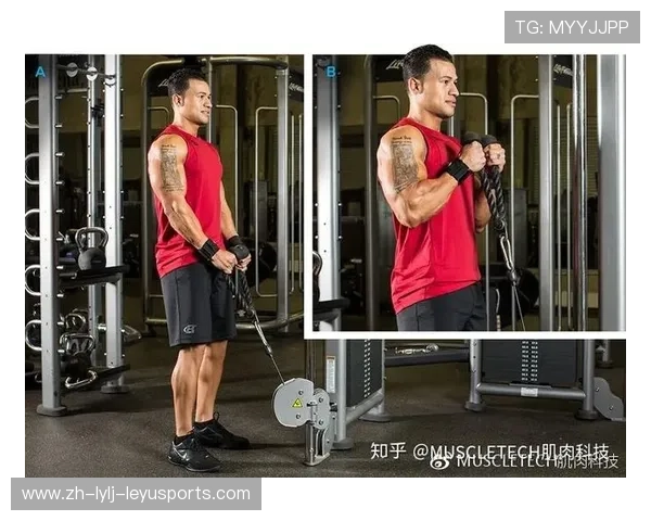 龙门架绳索后踢指南:三维刺激臀大肌的器械使用法则 龙门架绳索后踢指南:三维刺激臀大肌的器械使用法则